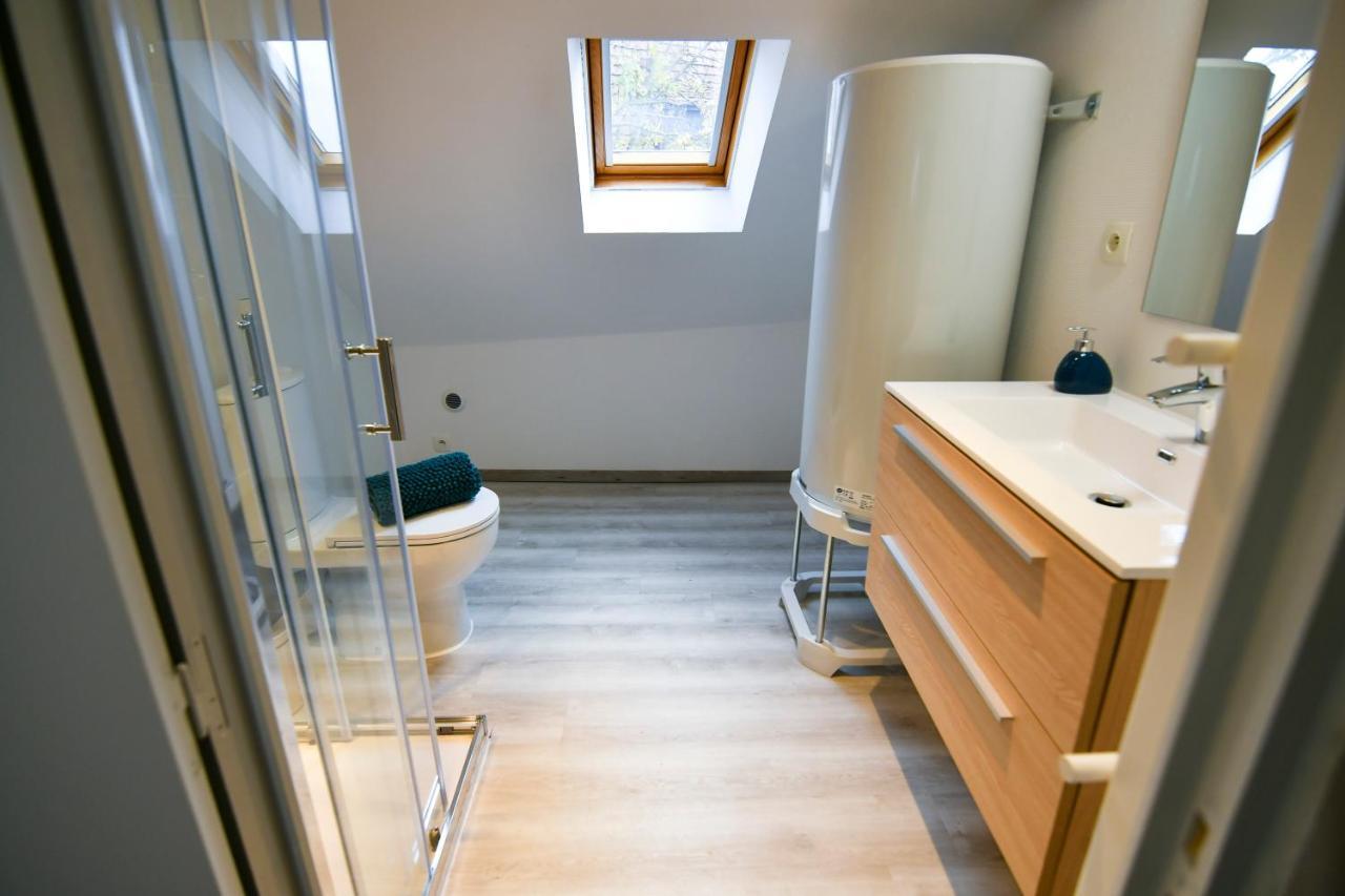 Au Duplex De Jeannala Apartment Selestat Exterior photo